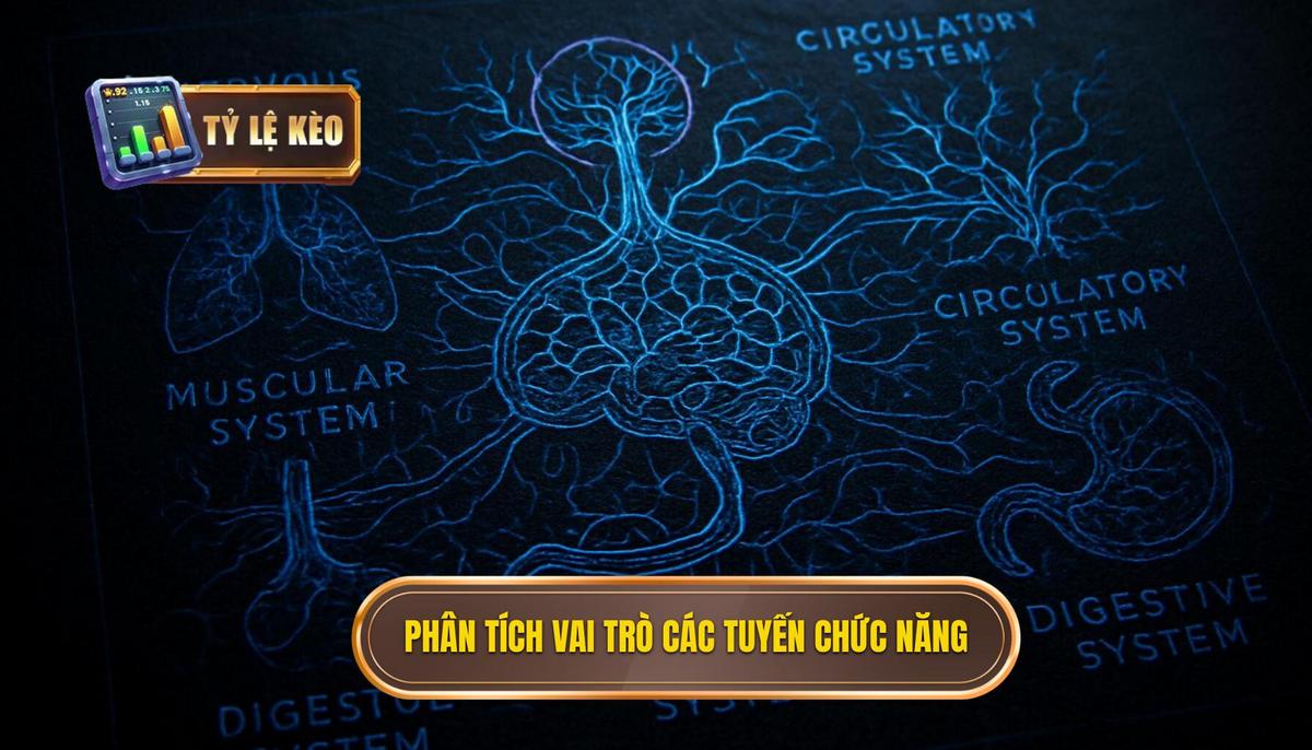 Chiến thuật bóng đá 3-3-3-1: Giải mã đội hình tấn công tổng lực và sự linh hoạt đỉnh cao 2 Phân tích chuyên sâu về vai trò từng tuyến